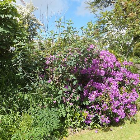 Silvermoon Bed and Breakfast Camelford Exterior foto